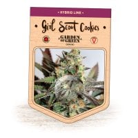 Garden Of Green Cannabis Seeds Girl Scout Cookies