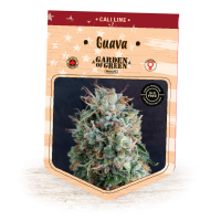 Garden  Of  Green  Cannabis  Seeds  Guava
