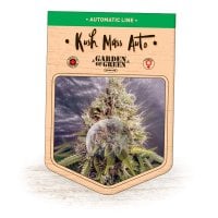 Garden  Of  Green  Cannabis  Seeds  Kush  Mass  Auto