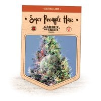 Garden  Of  Green  Cannabis  Seeds  Super  Pineapple  Haze