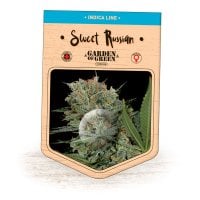 Garden  Of  Green  Cannabis  Seeds  Sweet  Russian