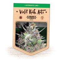 Garden  Of  Green  Cannabis  Seeds  Violet  Kush  Auto