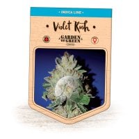 Garden  Of  Green  Cannabis  Seeds  Violet  Kush