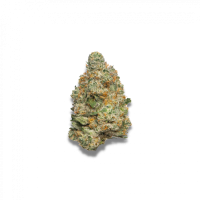 Growers  Choice  Cannabis  Seeds  Apple  Fritter  Auto