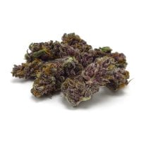 Growers  Choice  Cannabis  Seeds  Blue  Diesel  Auto