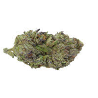 Growers  Choice  Cannabis  Seeds  Blue  Zeclair