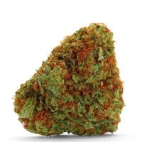 Growers Choice Cannabis Seeds Bubblegum X Fat Hog