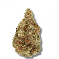 Growers  Choice  Cannabis  Seeds  Charlottes  Dream  Cbd  Auto