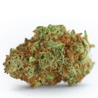 Growers  Choice  Cannabis  Seeds  Monsterbud  Auto