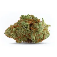 Growers  Choice  Cannabis  Seeds  Naranja  Biscotti  Fast  Version