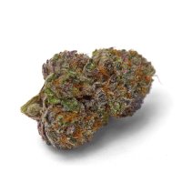 Growers  Choice  Cannabis  Seeds  Purple  Dosi  Punch
