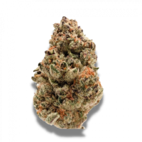 Growers  Choice  Cannabis  Seeds  Rainbow  Candy  Auto