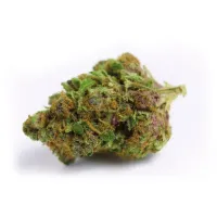 Growers  Choice  Cannabis  Seeds  Red  Banana  Berry  Double  Xl  Auto