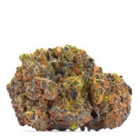 Growers  Choice  Cannabis  Seeds  San  Fernando  Valley  X  Purps