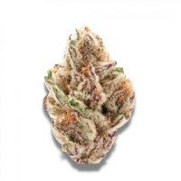 Growers  Choice  Cannabis  Seeds  Sour  Zkittlez