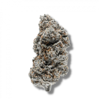 Growers  Choice  Cannabis  Seeds  Tangerine  Sherbet