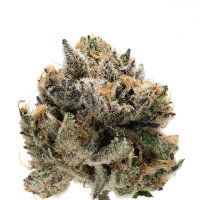 Growers  Choice  Cannabis  Seeds  Tropical  Cookies  Double  Xl  Auto