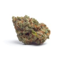 Growers  Choice  Cannabis  Seeds  Tropicana  Wedding  Cake  Auto