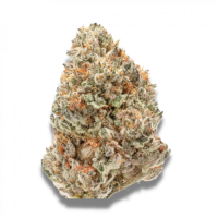 Growers  Choice  Cannabis  Seeds  Watermelon  Wedding  Cake  Double  Xl  Auto