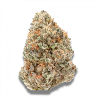 Growers  Choice  Cannabis  Seeds  Watermelon  Wedding  Cake