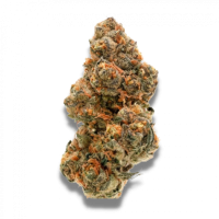 Growers  Choice  Cannabis  Seeds  Wedding  Cake  X  Frosty  Gelato  Double  Xl  Auto
