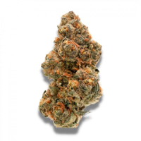Growers  Choice  Cannabis  Seeds  Wedding  Cake  X  Frosty  Gelato