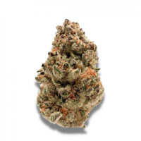 Growers  Choice  Cannabis  Seeds  Zkittlez