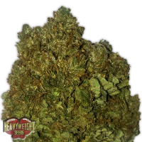 Heavyweight Cannabis Seeds Money Bush