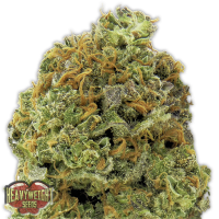 Heavyweight  Cannabis  Seeds  Wipeout  Express  Auto