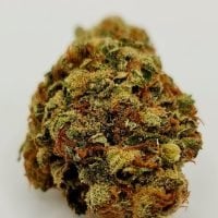 Kc  Brains  Cannabis  Seeds  Damage  Wedding  Cake