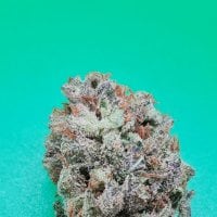 Kc  Brains  Cannabis  Seeds  Zkittlez 36  Auto