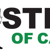 Ministry  Of  Cannabis  Seeds  Auto  Cannabis  Light
