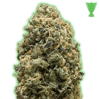 Monster  Genetics  Cannabis  Seeds  Monster  Bruce  Banner