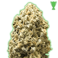 Monster  Genetics  Cannabis  Seeds  Monster  Pebbles