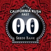 Oo  Cannabis  Seeds  California  Kush  Fast  Version