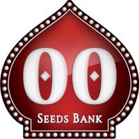 Oo  Cannabis  Seeds  Female  Collection 2