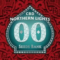 Oo  Cannabis  Seeds  Northern  Lights  Cbd