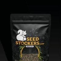 Cannabis  Seedstockers  Cannabis  Seeds  Superior  Champions  Auto  Mix