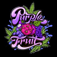 Sumo  Cannabis  Seeds  Purple  Fruit