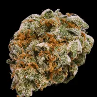 Terp  Farmz  Cannabis  Seeds  Mint  Trufflez