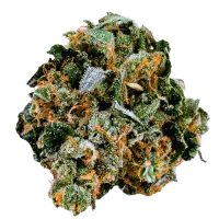 Terp  Farmz  Cannabis  Seeds  Original  Cheerioz