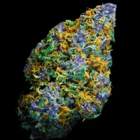 Terp  Farmz  Cannabis  Seeds  Wagyu  Donutz
