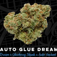 Top  Shelf  Elite  Cannabis  Seeds  Auto  Glue  Dream