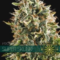 Vision  Cannabis  Seeds  Super  Skunk