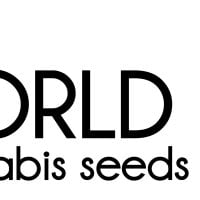 World Of Cannabis Seeds Cannabis Seeds Auto Collection