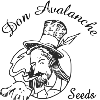 Don Avalanche Cannabis  Seeds  Logo