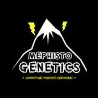 Mephisto Genetics