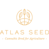 Atlas Seed