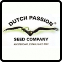 Dutch Passion