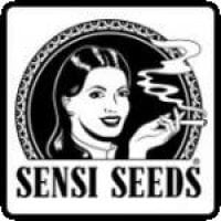 Sensi Seeds